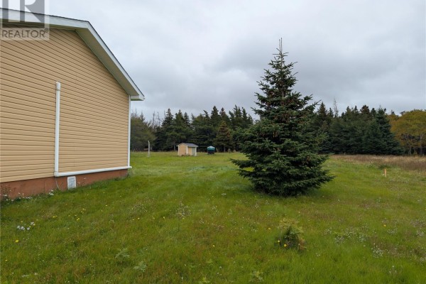Side of the beige house with a large evergreen tree in the grassy yard. - 77 Point Au Mal Road, Point Au Mal