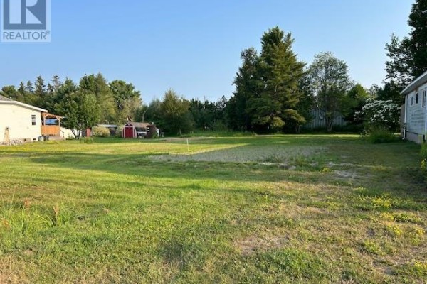 Open land with grass and trees, featuring a gravel patch. - 77 Togo St, Blind River