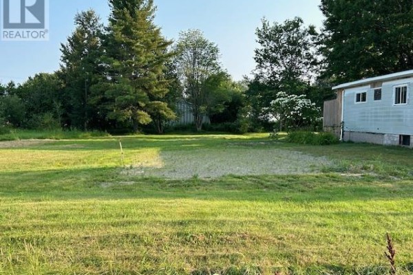 View of grassy lot with trees in the background and a gravel area. - 77 Togo St, Blind River