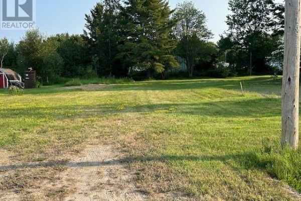 Wide view of the lot with grassy space and surrounding trees. - 77 Togo St, Blind River