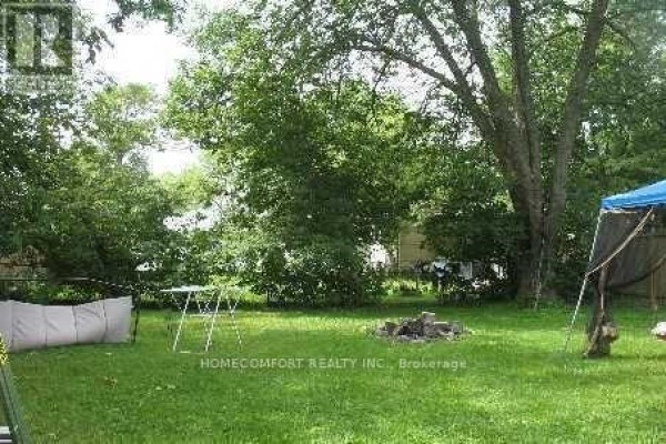 770 Jacksonville Road, Georgina, ON L0E1S0 Photo 4