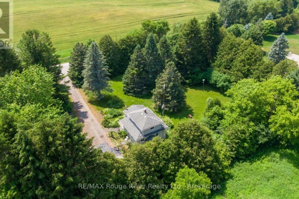 Overhead view of the house nestled amongst mature trees with a field in the distance. - 7725 Mill Street, Port Hope