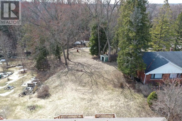 View of the sloped backyard with trees, a small shed, and the back of the house. - 774 Sutherland Avenue, Newmarket
