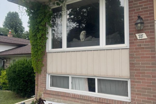 78 Willesden Road, Toronto, ON M2H1V7 Photo 2