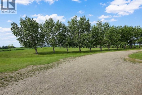 784017 Hwy 740, Tangent, AB T0H3J0 Photo 2