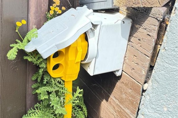 Bedroom - 785 Centre Street, Shaunavon, SK S0N2M0 Photo 4