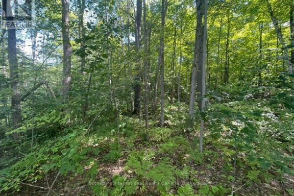 7865 Pineridge Road, Ramara, ON L0K2B0 Photo 3