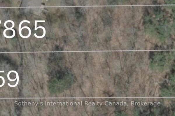 7865 Pineridge Road, Ramara, ON L0K2B0 Photo 5