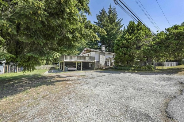 View of the house from a gravel driveway surrounded by numerous mature evergreen trees. - 7876 139a Street, Surrey