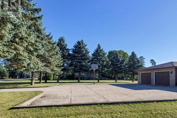 Kitchen - 7897 Hwy 7 Road, Guelph/eramosa, ON N1H6H8 Photo 3