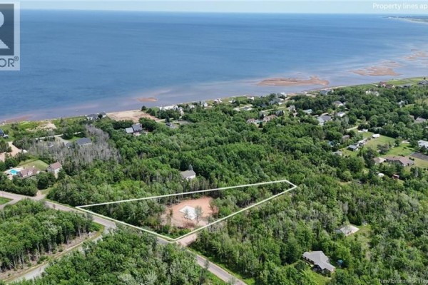 Aerial view of a wooded property with a coastline and ocean in the background. - 79 Baron Street, Barachois