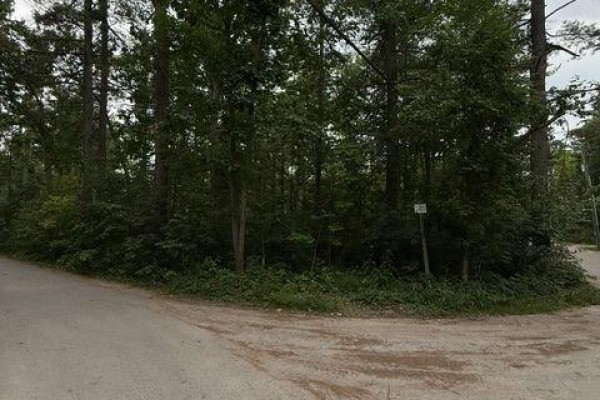 79 Irene Avenue, Kawartha Lakes, ON, photo 2