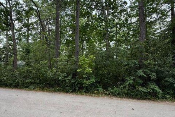 79 Irene Avenue, Kawartha Lakes, ON, photo 3