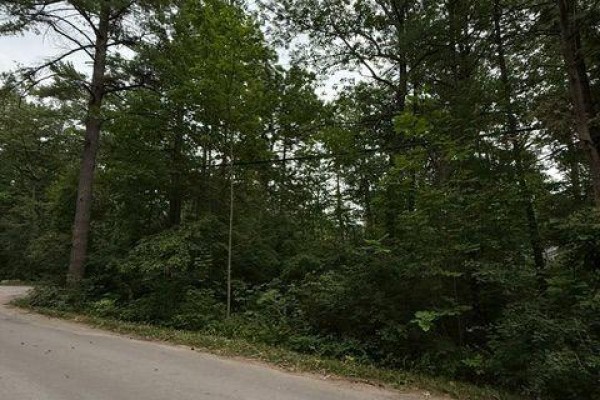 79 Irene Avenue, Kawartha Lakes, ON K0M1N0 Photo 4