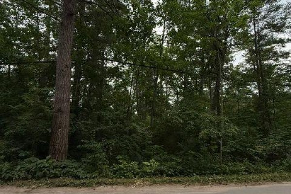79 Irene Avenue, Kawartha Lakes, ON K0M1N0 Photo 5