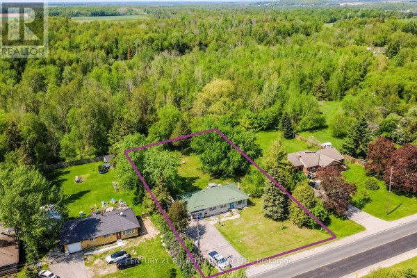 7906 Main Street, Adjala Tosorontio, ON, photo 2