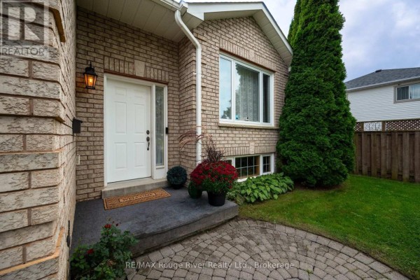 Utility room - 792 Greer Crescent, Cobourg, ON K9A5N8 Photo 2