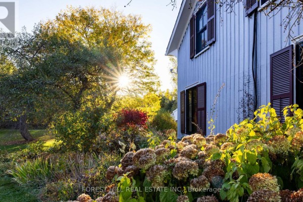 Sunlight streams through trees onto a garden with hydrangeas and a light grey house. - 794575 Mono Centre Road, Mono