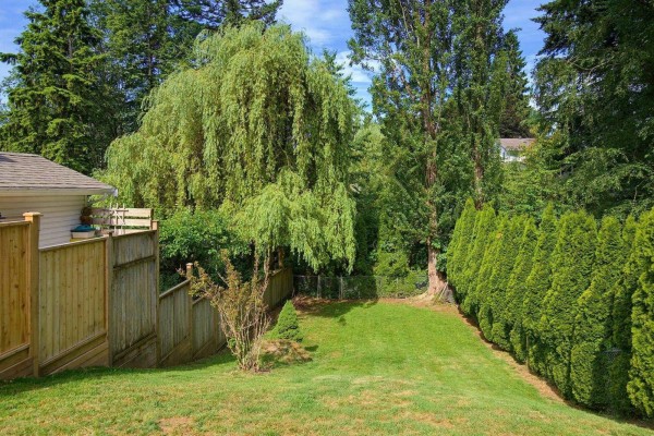 7957 Burdock Street, Mission, BC V2V4Y5 Photo 3