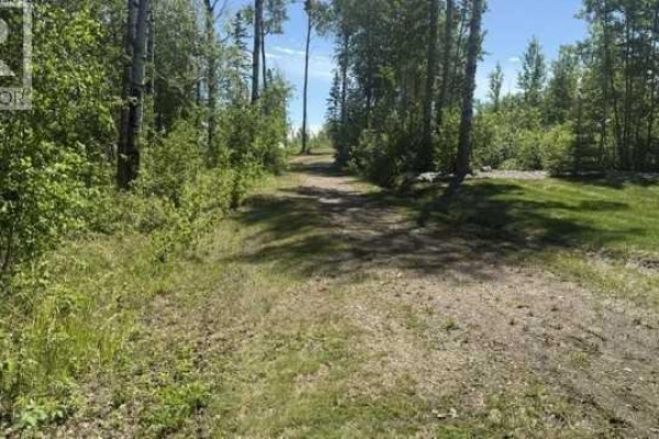 A dirt path leads through a treed area with grass on either side. - 8, 2404 394 Township, Rural Lacombe County