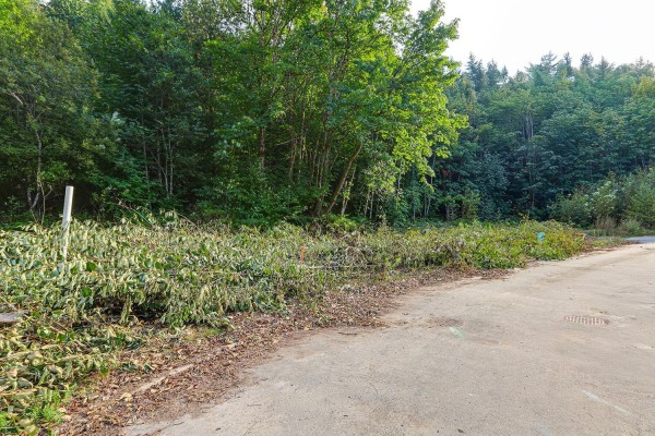 8 66026 Kawkawa Lake Road, Hope, Hope, BC V0X1L1 Photo 4