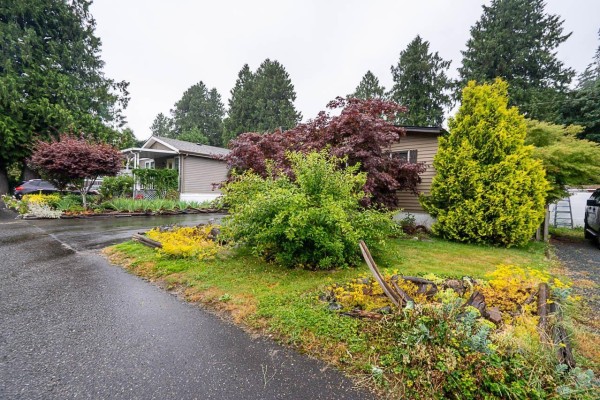 Street view of mobile homes with surrounding trees and landscaping. - 8 52324 Yale Road, Popkum, Rosedale