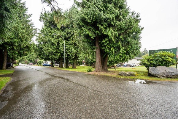 View of paved street with trees, other mobile homes, and a "Copania" sign. - 8 52324 Yale Road, Popkum, Rosedale