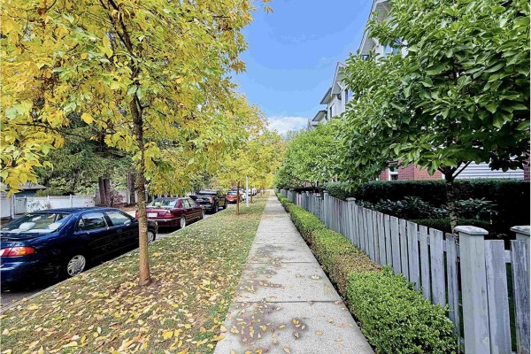 Sidewalk lined with trees showing fall foliage and parked cars on street. - 8 9718 161a Street, Surrey