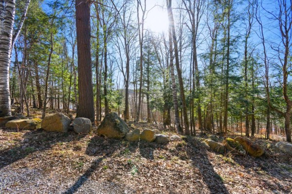 8 Ch. De La Mine, Lac Sainte Marie, QC J0X1Z0 Photo 4