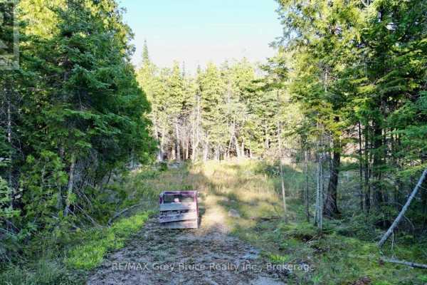 8 Devils Glen, Northern Bruce Peninsula, ON N0H1X0 Photo 4