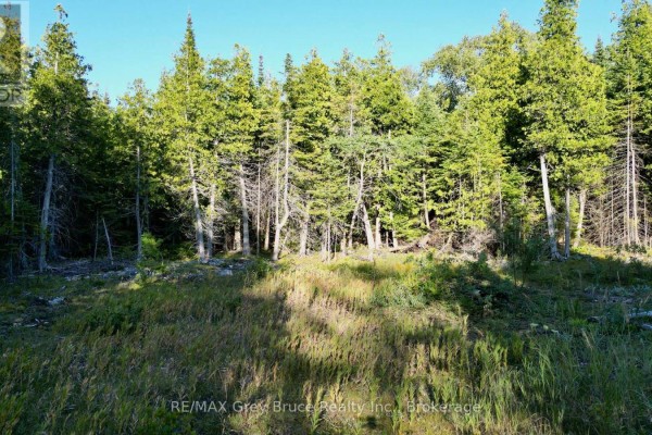 8 Devils Glen, Northern Bruce Peninsula, ON N0H1X0 Photo 5