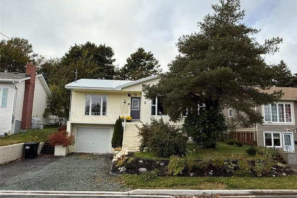 Not known - 8 Fitzgibbon Street, St  John’s, NL A1E2G1 Photo 2