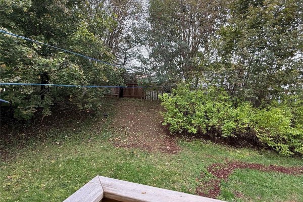 Not known - 8 Fitzgibbon Street, St  John’s, NL A1E2G1 Photo 5