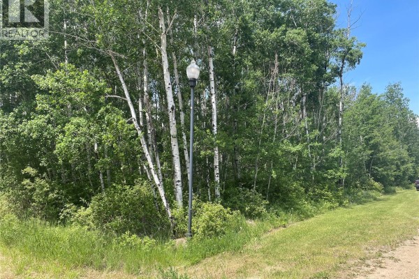 8 Fresno Street, Delaronde Lake, SK, photo 2