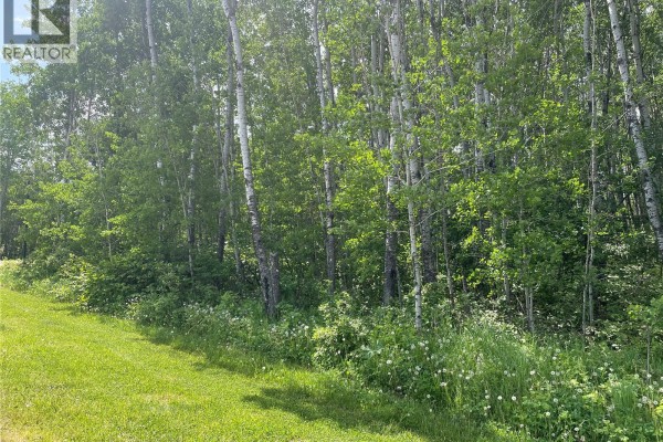8 Fresno Street, Delaronde Lake, SK, photo 3