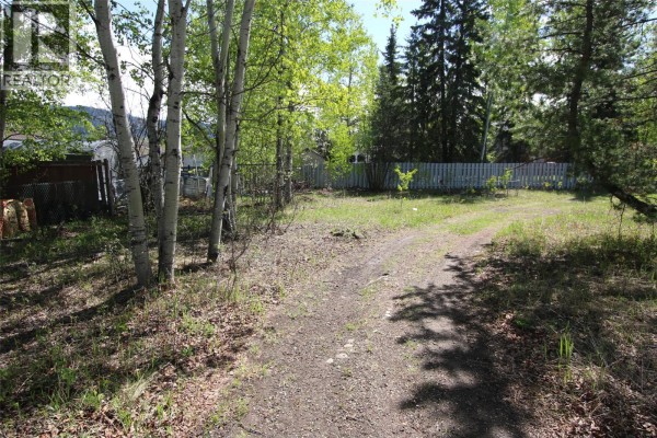 8 Myhon Place, Tumbler Ridge, BC V0C2W0 Photo 4