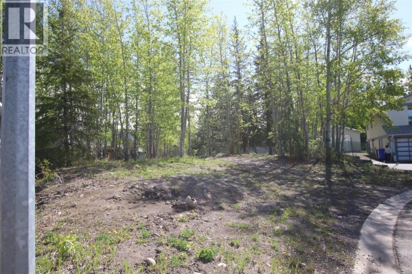 8 Myhon Place, Tumbler Ridge, BC V0C2W0 Photo 5
