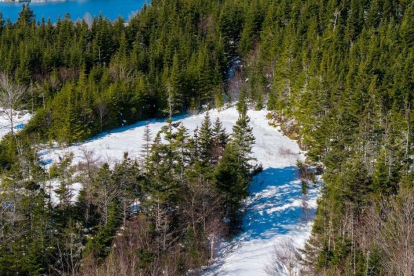 8 Panorama Drive, Salmon River Bridge, NS B0J1W0 Photo 5