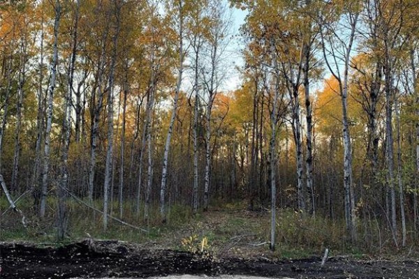8 Quiet Haven Road, Lac Du Bonnet, MB R0E1A0 Photo 4