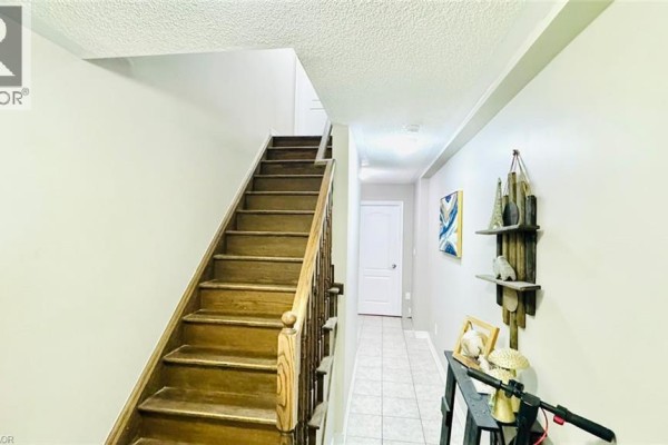 Kitchen - 8 Rabbit Run Way, Brampton, ON L6Z0J2 Photo 4