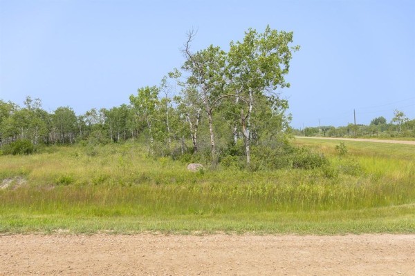 Clearing with scattered trees and tall grass, dirt road in foreground. - 8 River 59n Road, Anola