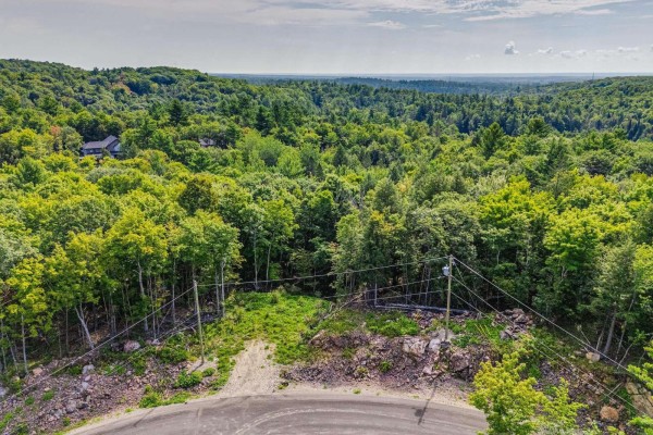 View from a paved road showing a cleared area with power lines and surrounding trees. - 8 Rue Tex-lecor, Cantley