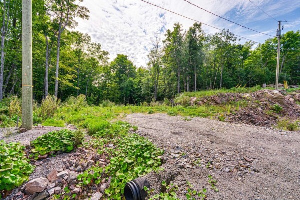 Ground-level view of a gravel area with vegetation, rocks, and surrounding trees. - 8 Rue Tex-lecor, Cantley