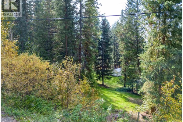 Lot 8 Summit Drive, Canim Lake, BC V0K1J0 Photo 4