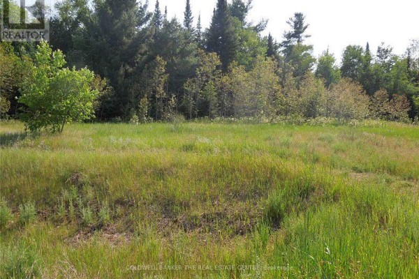 8 Tioga Boulevard, Adjala Tosorontio, ON L0M1J0 Photo 4