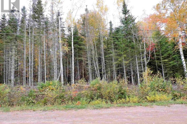 80-2 Carroll Crescent, Brookdale, NS B4H3Y1 Photo 4
