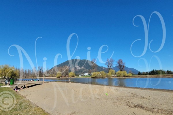 80 8400 Shook Road, Mission, BC V2V7L5 Photo 4
