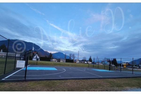 80 8400 Shook Road, Mission, BC V2V7L5 Photo 5