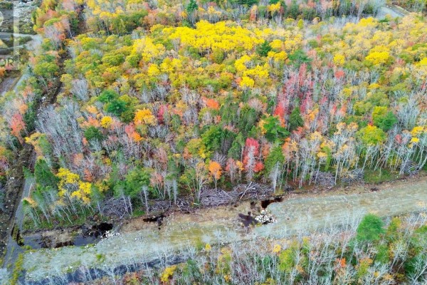 Lots and Land for sale at 80 Morton Drive, Liverpool, NS - MLS® TseMdJ