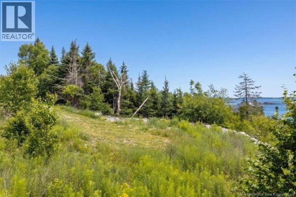 Grassy clearing surrounded by trees and rocky outcrops. - 80 Osprey Drive, Chamcook